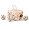 Checker Chewy Vuiton Trunk Activity House