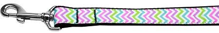 Summer Chevrons Nylon Dog Leash (Option: 6 Foot)