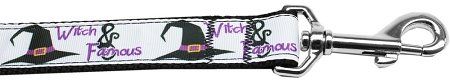 Witch and Famous Nylon Dog Leash (Option: 3/8 inch wide 4ft Long)