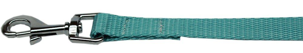 Plain Nylon Pet Leash (Option: 1in by 4ft Ocean Blue)