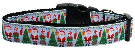 Aqua (Option: Santa Nylon Cat Collar)