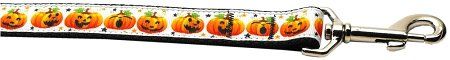Pumpkin Parade Nylon Dog Leash (Option: 5/8 inch wide 6ft Long)