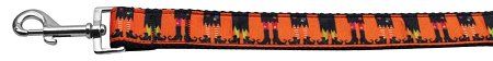 Witches Brew Nylon Dog Leash (Option: 5/8 inch wide 4ft Long)