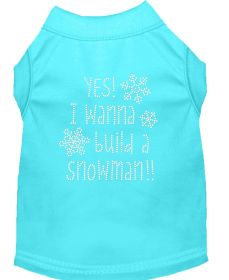 Yes! I want to build a Snowman Rhinestone Dog Shirt (Option: Aqua XS)