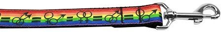 Equality Nylon Dog Leash (Option: 3/8 inch wide 4ft Long)