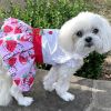 Strawberry Picnic Dog Dress / Dog Harness with Matching Leash