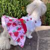 Strawberry Picnic Dog Dress / Dog Harness with Matching Leash